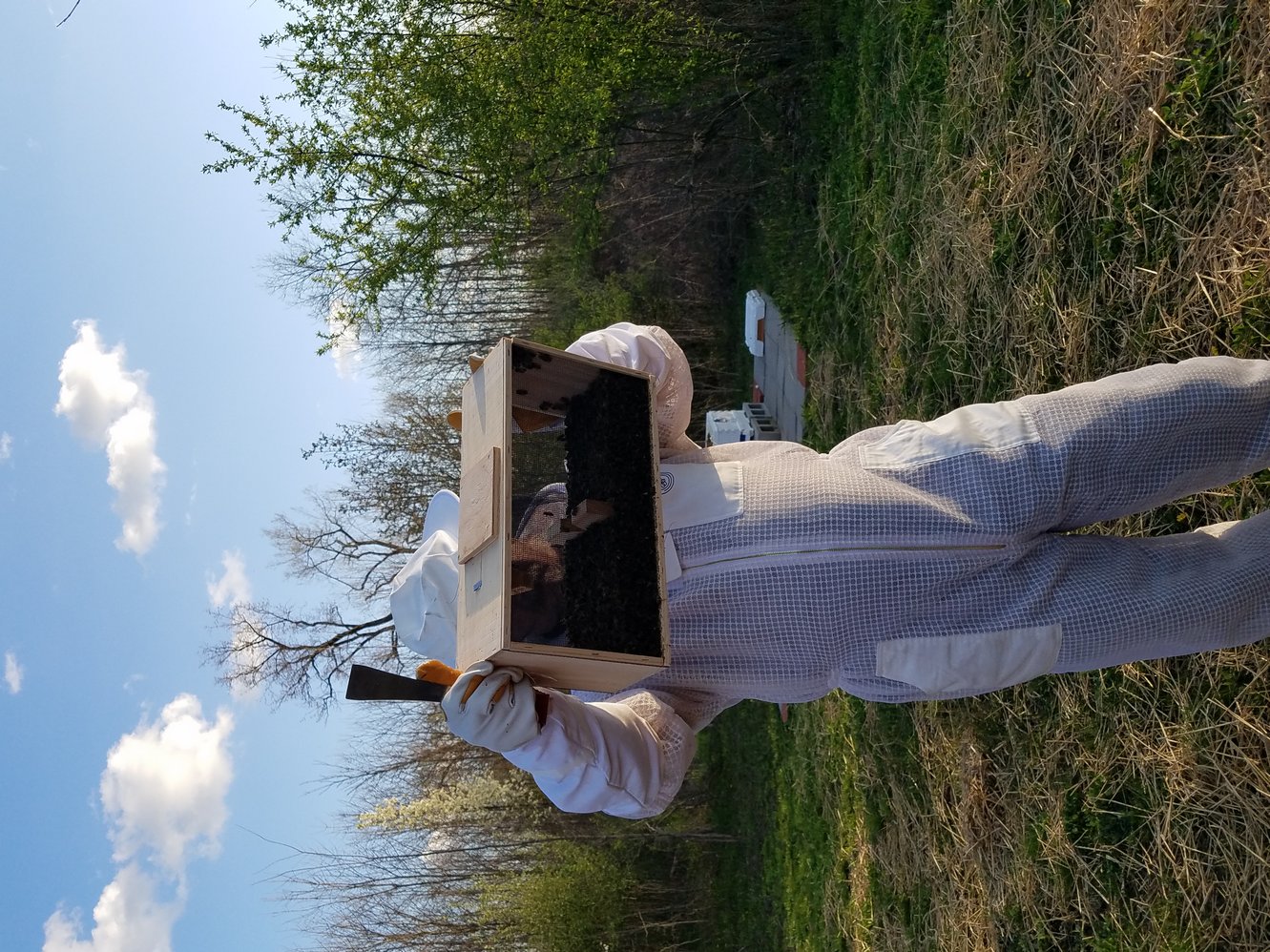 TheHive
